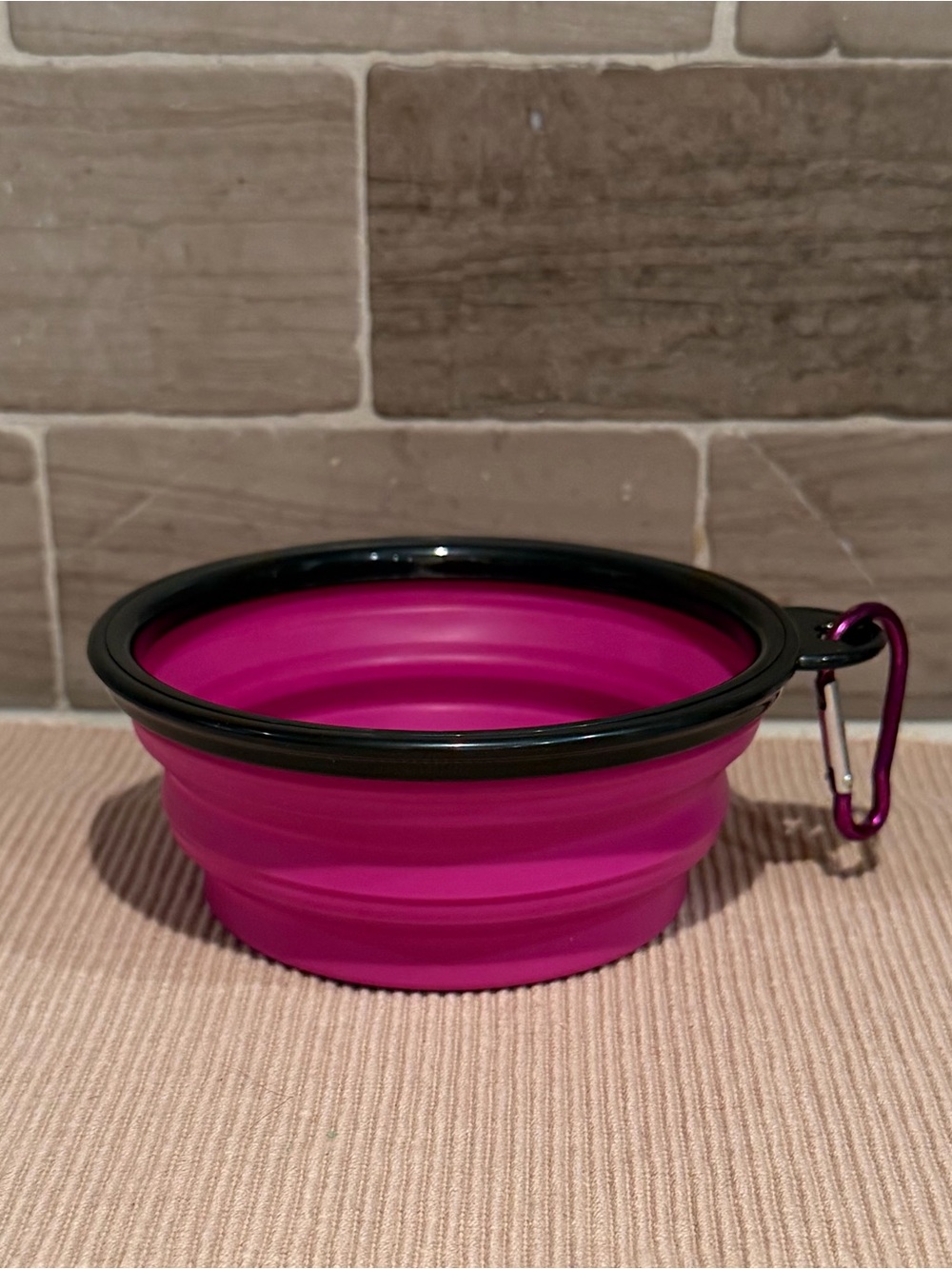 NWT Pink Collapsible Silicone Pet Bowl with Carabiner Clip 5"